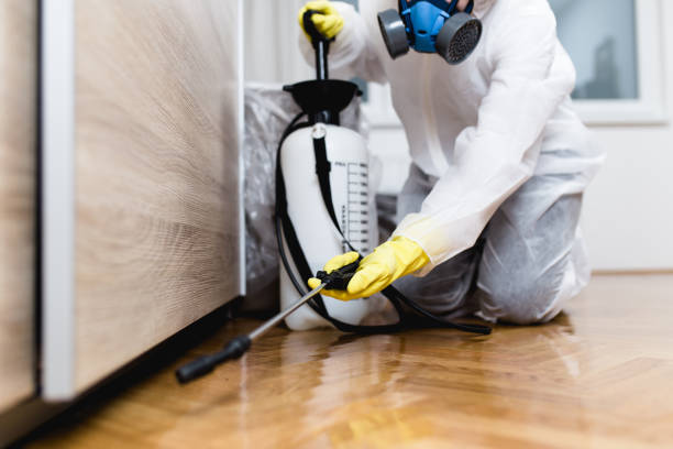 Best Pest Removal Services  in Burley, ID