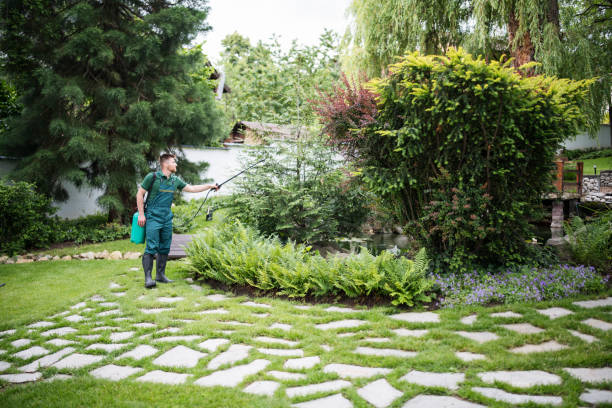 Best Pest Prevention Services  in Burley, ID
