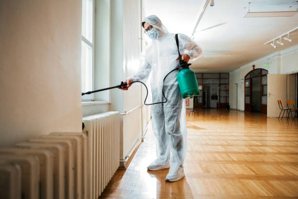 Best Best Pest Control Companies  in Burley, ID