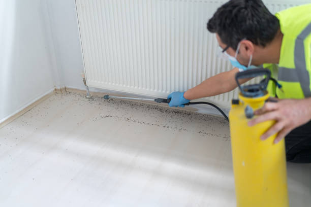 Best Residential Pest Control  in Burley, ID